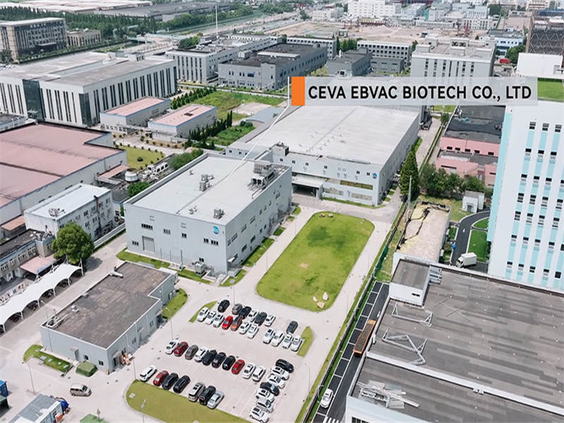 프로젝트 사례:Ceva Ebvac Biotech Co., Ltd