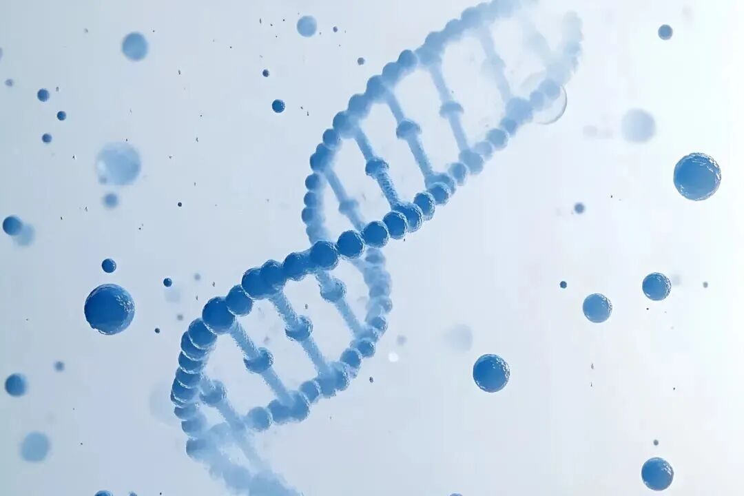 산동제일의과대학은 위스킨드와 동업하여 고품질 세포실험실을 건설한다